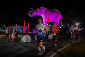 BIB: 
                            <button type="button" onclick="openModal(26552213)" class="btn btn-primary btn-sm float-right btn-popup" data-toggle="modal" data-target=".modal-high-quality">
                        <i class="fas fa-shopping-cart"></i> Add to Cart
                    </button>
                                            <button type="button" onclick="isThisMe(26552213, true)" class="btn btn-success btn-sm float-right btn-popup btn-isme hidden" data-toggle="tooltip" data-placement="bottom" title="นี่คือรูปของคุณใช่ไหม คลิกที่นี่เพื่อเอาเข้าอัลบั้ม">
                        <i class="fas fa-plus"></i> Add to album
                    </button>
                    <button type="button" onclick="isThisMe(26552213, false)" class="btn btn-warning btn-sm float-right btn-popup btn-isnotme hidden">
                        <i class="fas fa-ban"></i> Remove from album
                    </button>